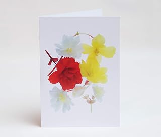 Flowerlets - Notelets – Thank you Cards - Pack 5 with Envelopes - Begonia Flower - Blank Inside - Sold exclusively by AM Fine Art GB