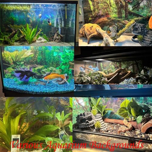 Image of Under The Sea Aquarium Background Underwater Coral Reef Panorama Fish Tank Backdrop Ocean Underwater World Terrarium Background Decorations Tropical Fish Undersea Theme Aquarium Decor 24x12in