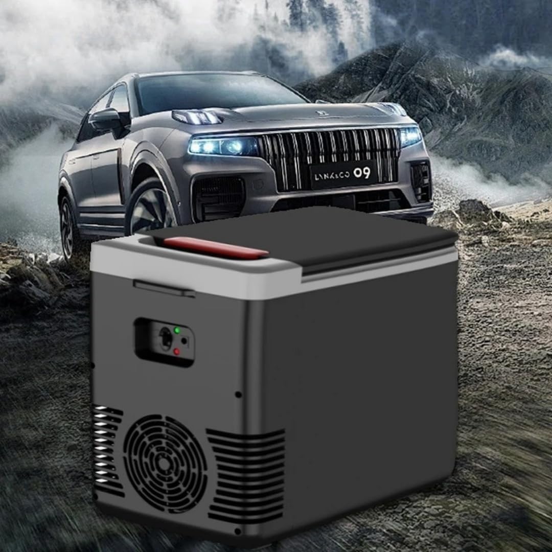 12 V/220 V Mini refrigerador multifunción portátil de 10 L, coche y casa de doble uso, para coche, hogar y viajes, Congelador/enfriador/calentador eléctrico portátil.