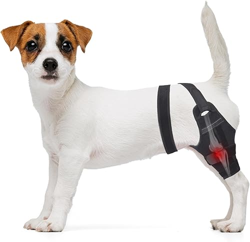 Rodillera para Perro para ACL Desgarrado en Patas Traseras – Soporte Ajustable con 2 Soportes Estabilizadores para Reducir el Dolor, Lesiones de
