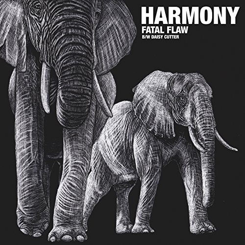 Fatal Flaw by Harmony on Amazon Music