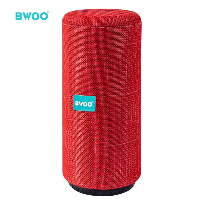 Diagram of bwoo BS-52 speaker ports and controls