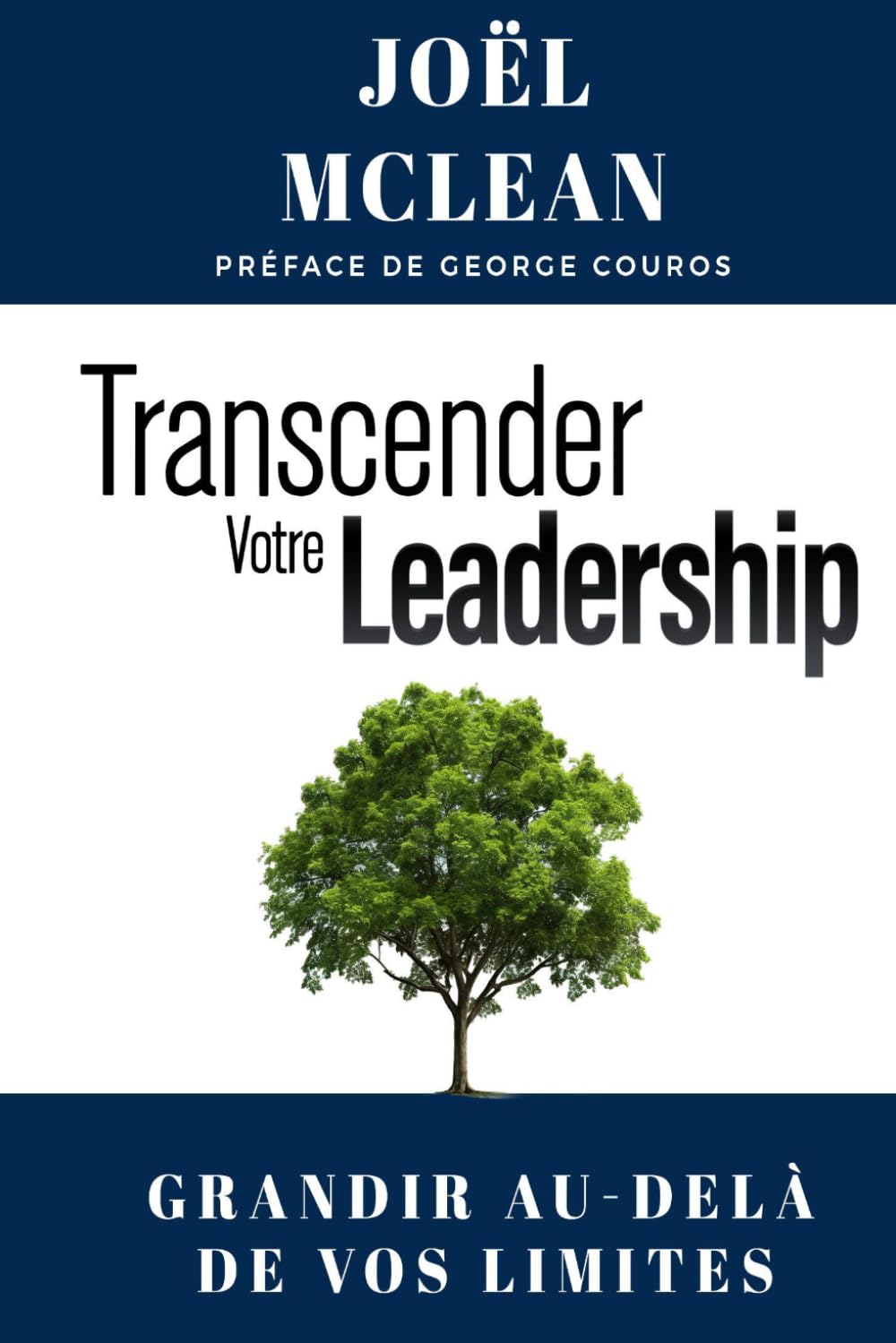 Transcender votre leadership: Grandir au-delà de vos limites
