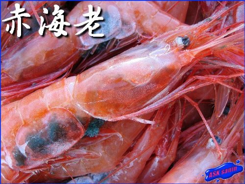 お刺身用 赤海老(甘エビ)特大3Kg 山陰境港産