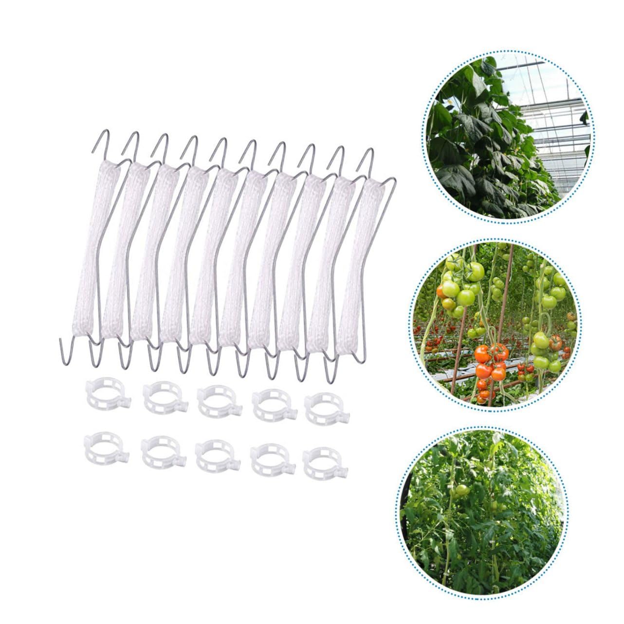 Kisangel 2sets Trellis Hooks per Pomodori e Piante Rampicanti da Ganci e Metri di Filo per Supporto Facile da Usare e Resistente Ottimizza La Crescita delle Piante Giardino