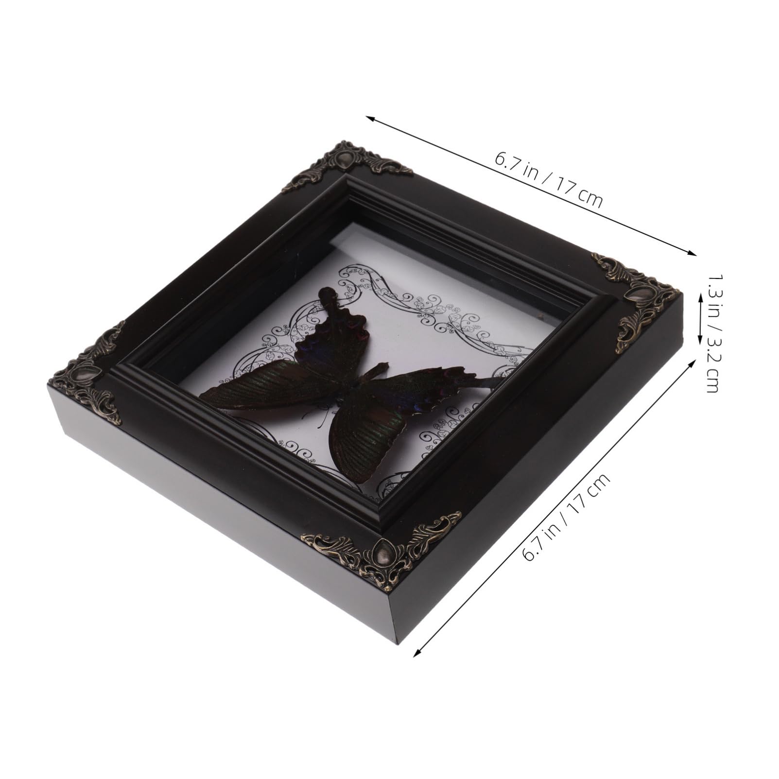 Wooden Specimen Display Case With Clear Lid - Entomology Shadow Box For Butterflies, Insects, Collectibles