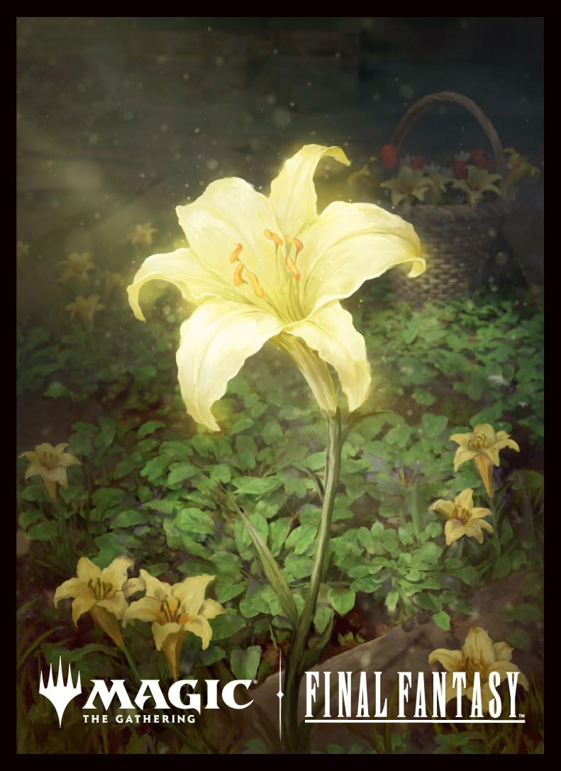 Amazon.co.jp: 『マジック：ザ・ギャザリング――FINAL FANTASY