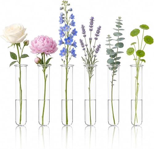 Homoyoyo 6pcs Clear Glass Plant Propagation Tubes, 5. 89 Inch Test Tubes for Plants Hydroponic Test Tube Vases for Water Plant Cuttings Flower Arranging Home Office Desktop Decor