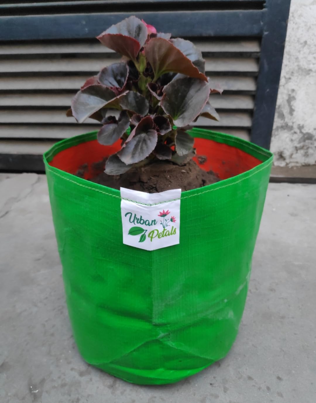 URBAN PETALS 9x9 Inches 280 GSM Grow Bag | Pack of 10 | for Flowers & Vegetables | 10 Years Long Life (B0CRZ1KCBH) Amazon Price History, Amazon Price Tracker