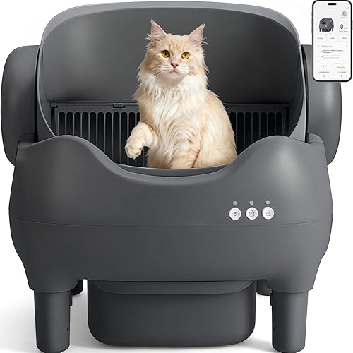 Self Cleaning Litter Box — top-down angle highlighting key features
