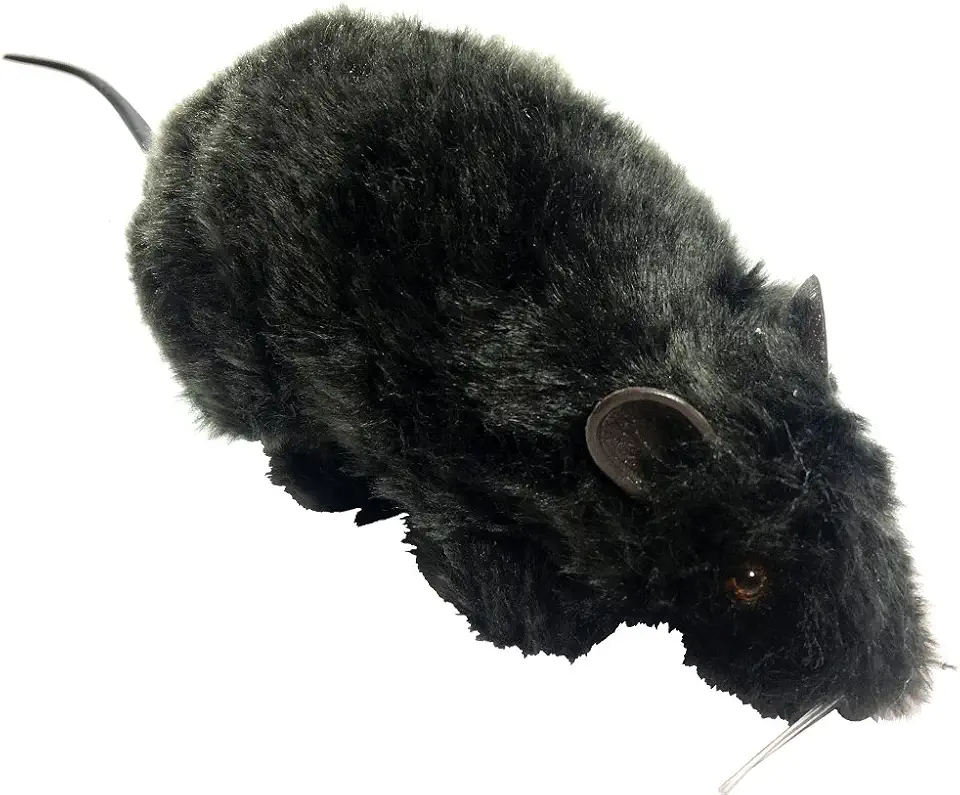 Forum Novelties Real Looking Fake Rat Prop for Halloween