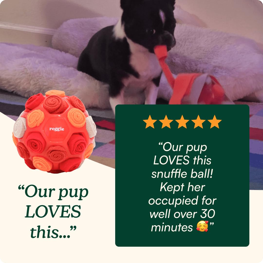 Reggie Pelota recolectora para perros, juguete interactivo dispensador de golosinas para estimulación mental, reduce el aburrimiento, el estrés y la hiperactividad, bola de enriquecimiento para perros