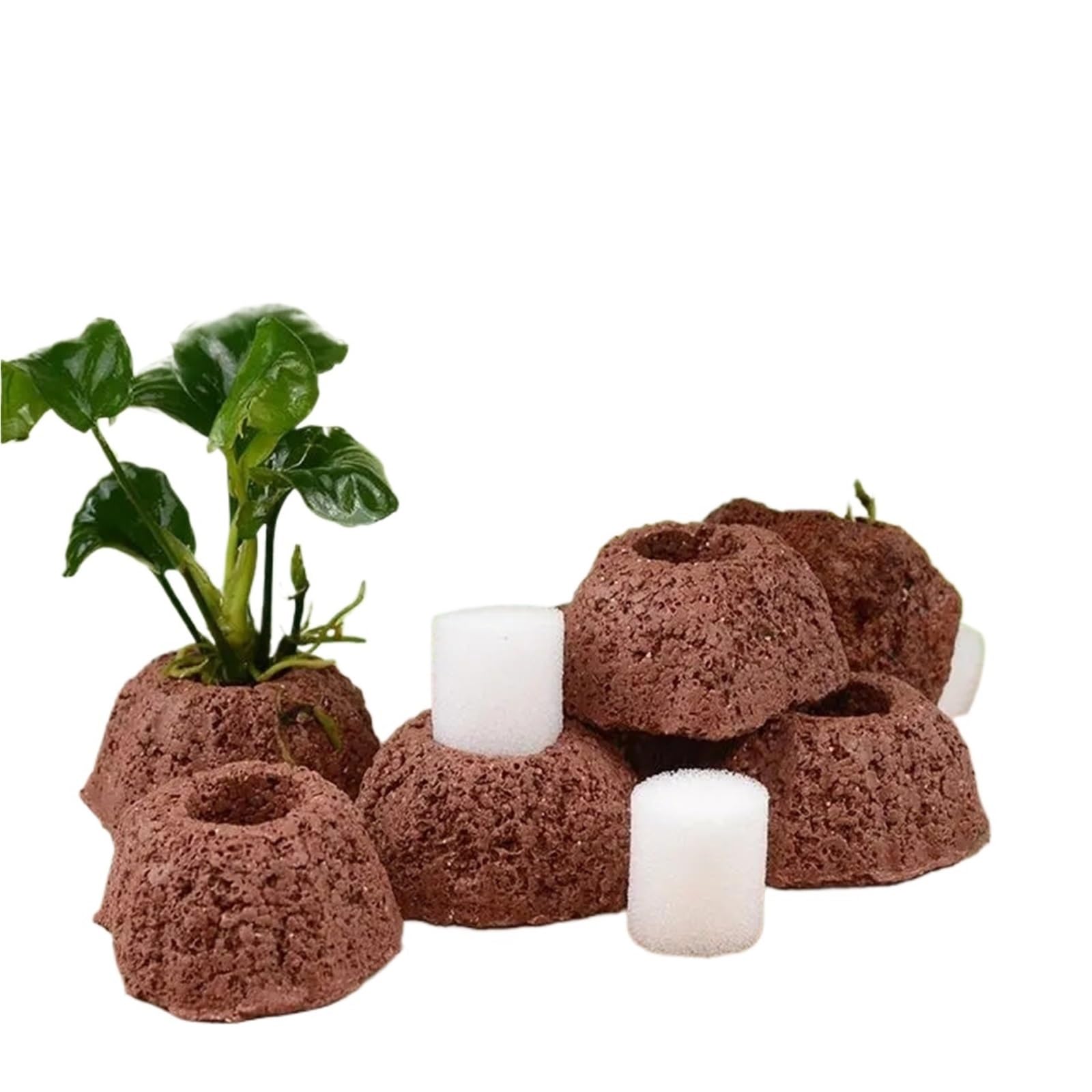 Mlyvax 40pcs Aquatic Water Plant Fixed Rings Landscape Ceramic Pottery Pot Gravity Ring For Fish Tank Decoration