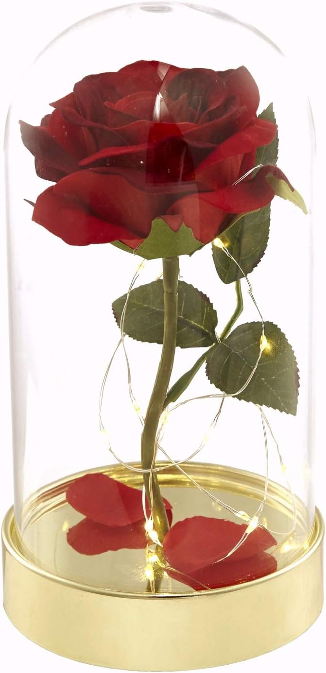 Verzauberte Rose Die Schöne Und Das Biest