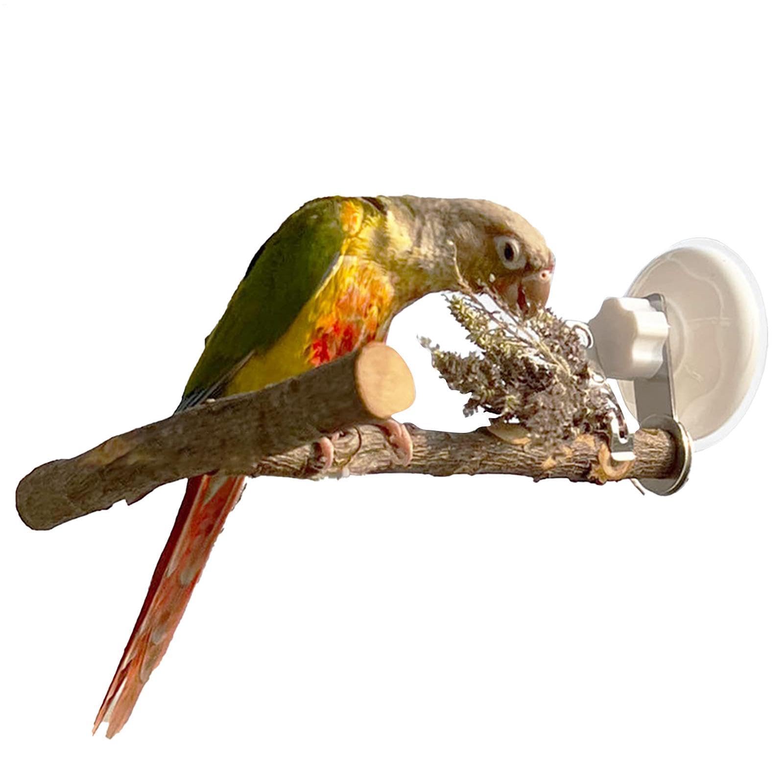Vogelfenster-Sitzstange Saugnapf-Holzstand mit Kotschale | Duschstange Für Vogel Wellensittich Nymphensittich Conure Unzertrennliche Badezimmer Bad Dusche Auto Reise