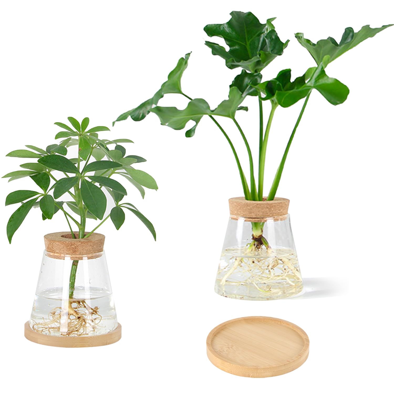 Stazione Di Propagazione Con Provetta In Vetro E Supporto Geometrico In Legno. Vaso Per Fiori O Piante Idroponiche, Decorazione Originale Per Casa E Ufficio. Dimensioni Provetta: 5,1x13,2 Cm. - 3