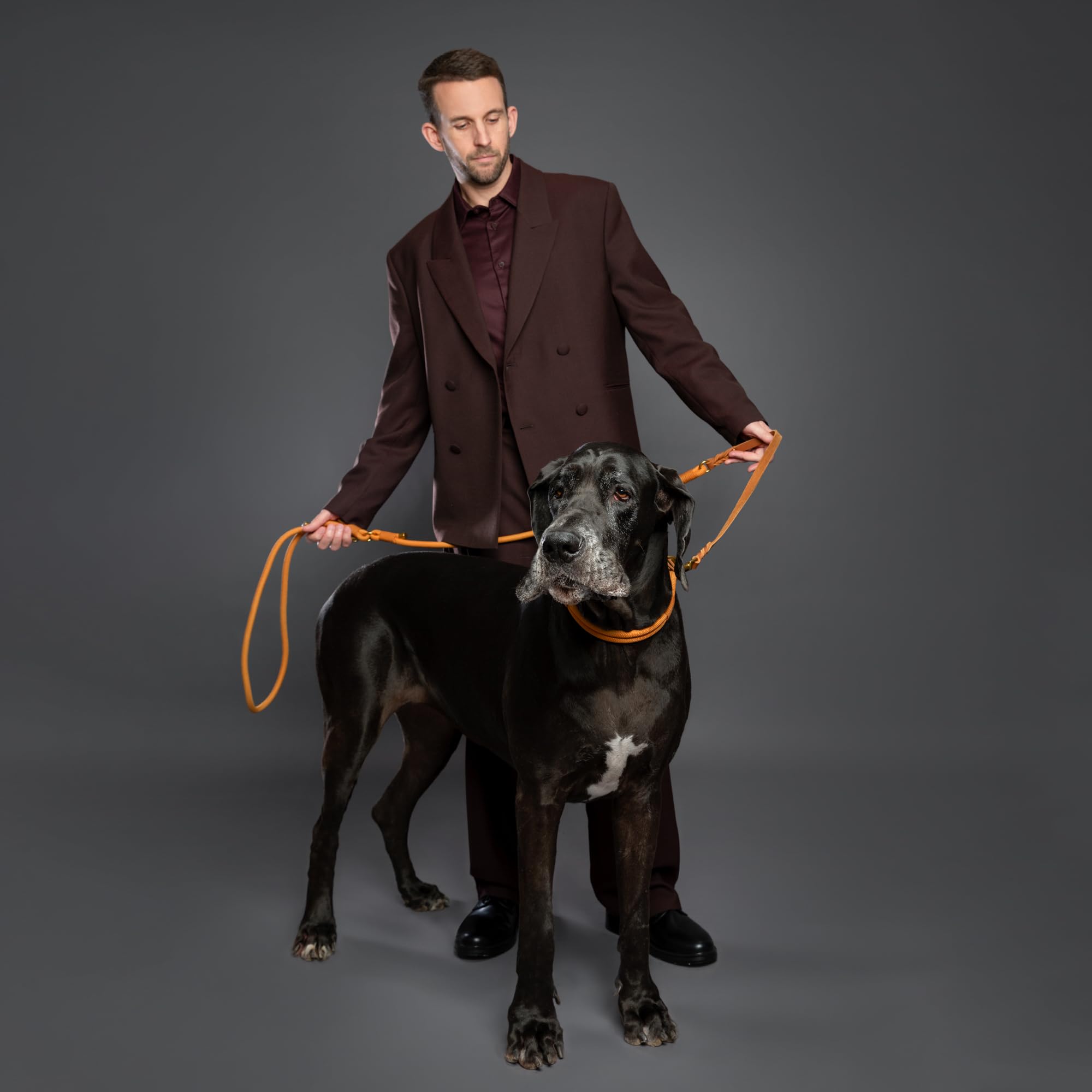 Noah & Paw Laisse Mains Libres pour Chien, Cuir huilé ciré + paracorde résistante, 8 ft (2,4 m), Laisse Longue 6 utilisations (Chats, Petits, Moyens, Grands Chiens) (Camel)
