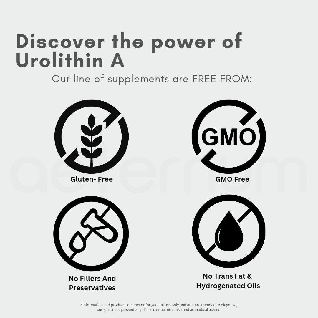 aeternum Urolithin A -UA Capsules - 500mg -180 Capsules (1,000mg Per Serving) - Image 3