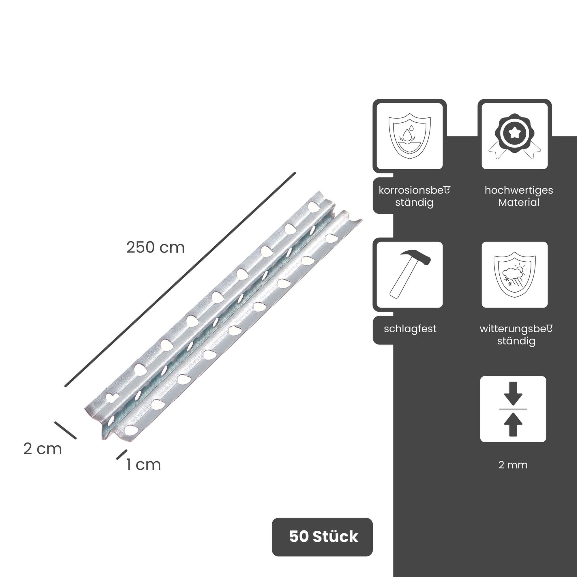 PROTEKTOR Schnellputzschiene, Putzschiene Innen, 10mm Putzstärke 250cm, 50 Stück Silber, 1105 Schnellputzleisten, Schnellputzprofil 10mm, Wand verputzen