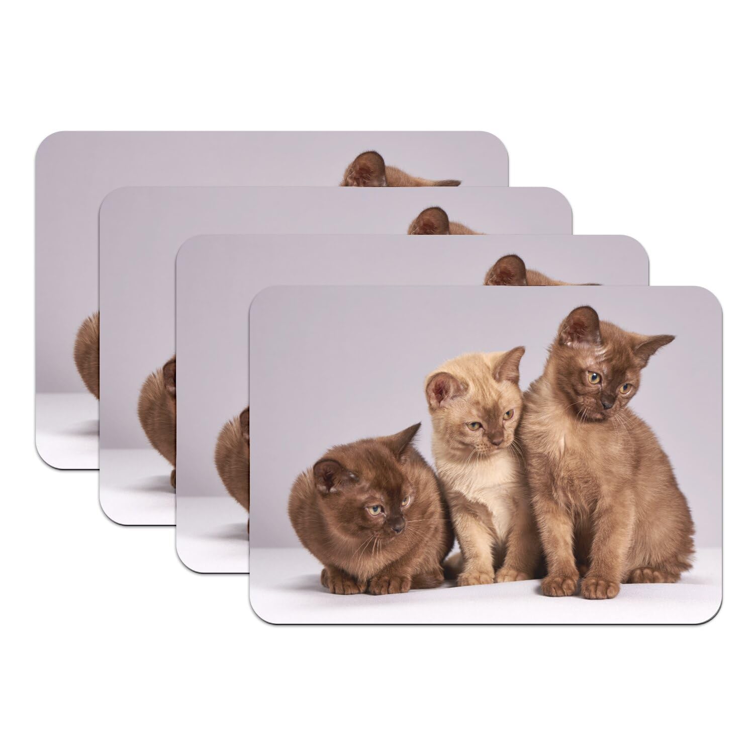 Sets de table chat Siamois et Persan grand format finition haut de gamme lot de 4