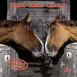 Pferde 2016: Kalender 2016 (Artwork)