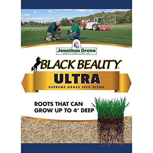Top 10 Best Jonathan Green Grass Seed Reviews & Buying Guide Katynel