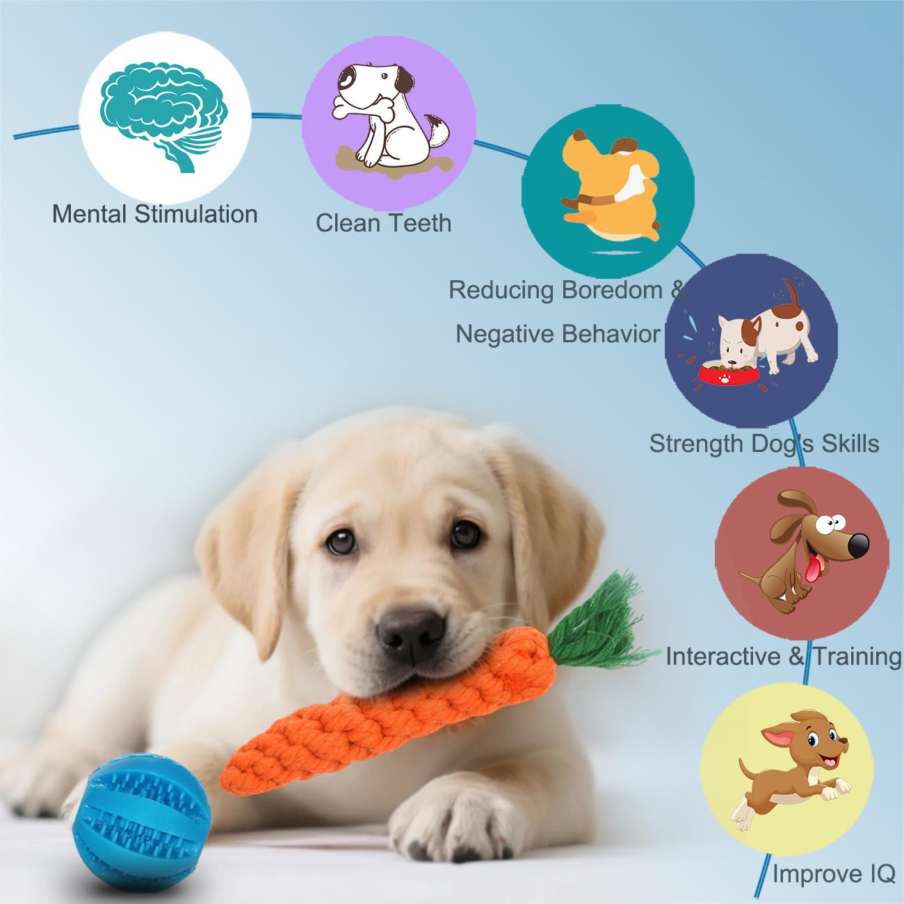 Juguetes para cachorros, paquete de 15, juguetes masticables para dentición de perros, cuerda interactiva y bolas chirriantes para perros pequeños, bonito juego de cepillos de dientes de goma
