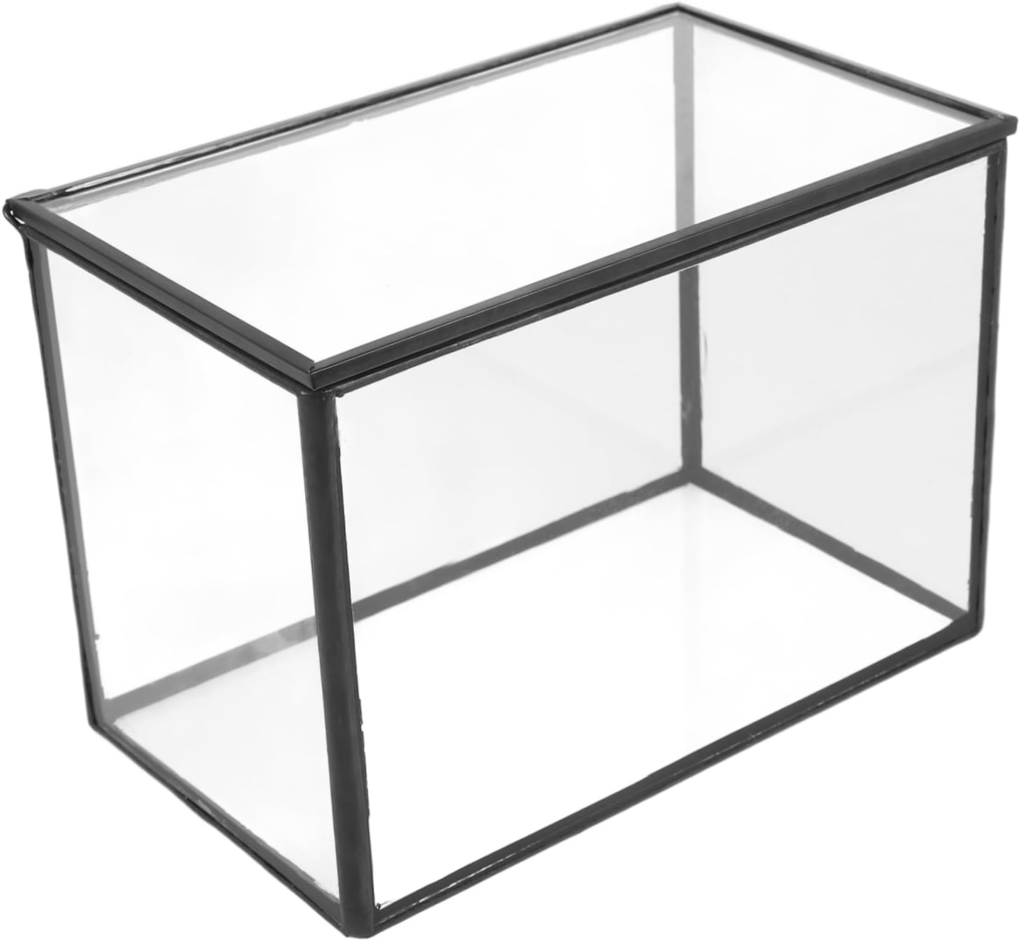 Clear Glass Terrarium Micro Landscape Holder for Decoration Versatile Succulent Planter Ecosystem Display for Tabletop Giving