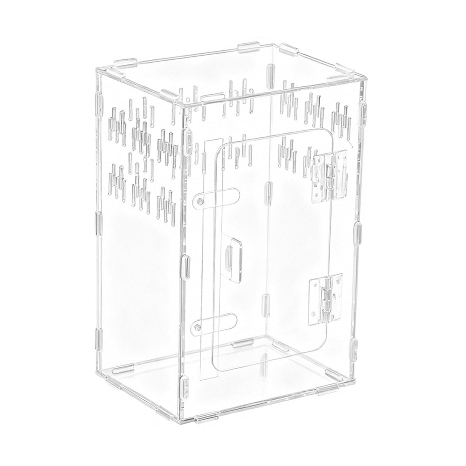 Terrarium pour araignées idéal pour observer les geckos sur un bureau