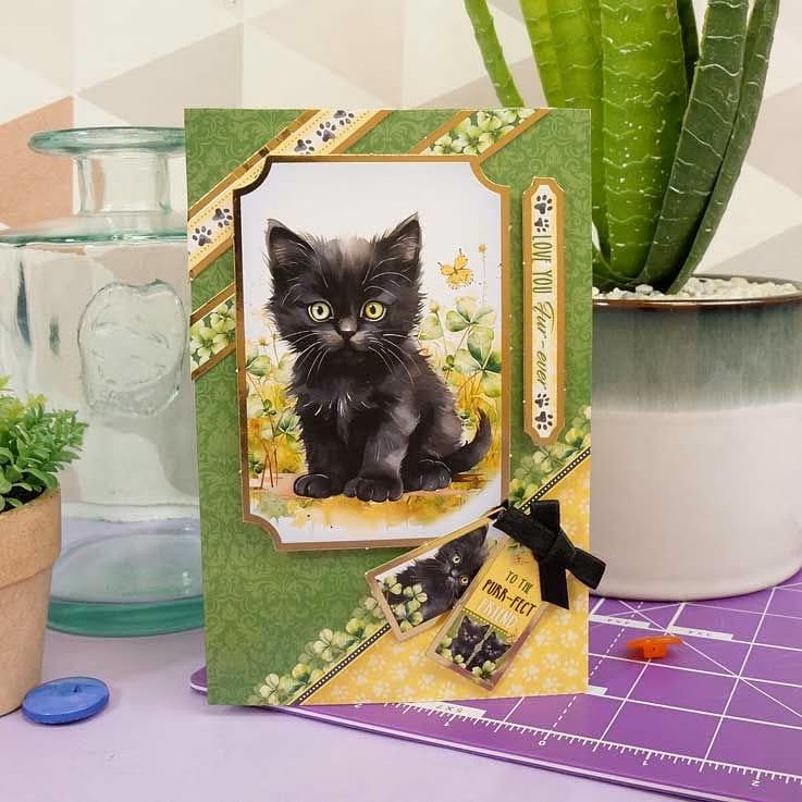 Hunkydory - Tarjetas rápidas: kit para hacer tarjetas (mascotas perfectas)