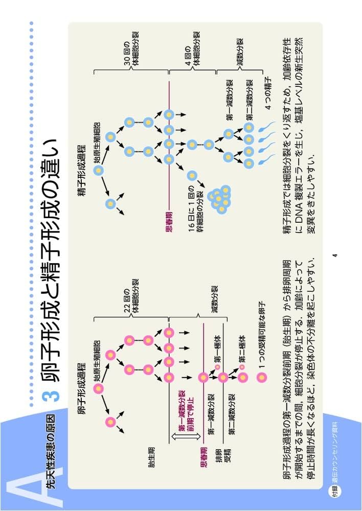 生殖医療遺伝カウンセリングマニュアル 生殖医療遺伝カウンセリングマニュアル | 関沢 明彦, 佐村 修