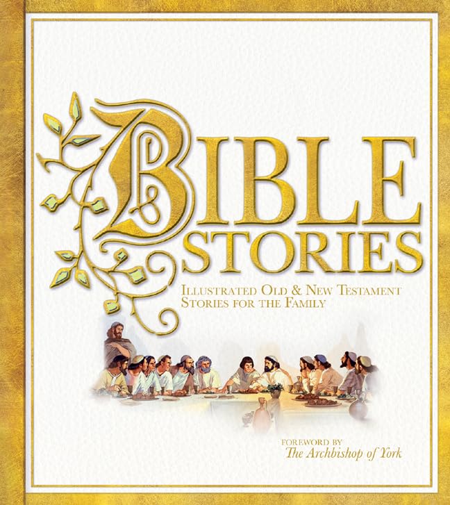 Bible Stories: Illustrated Old & New Testament Stories for the Family      Hardcover – November 2, 2010