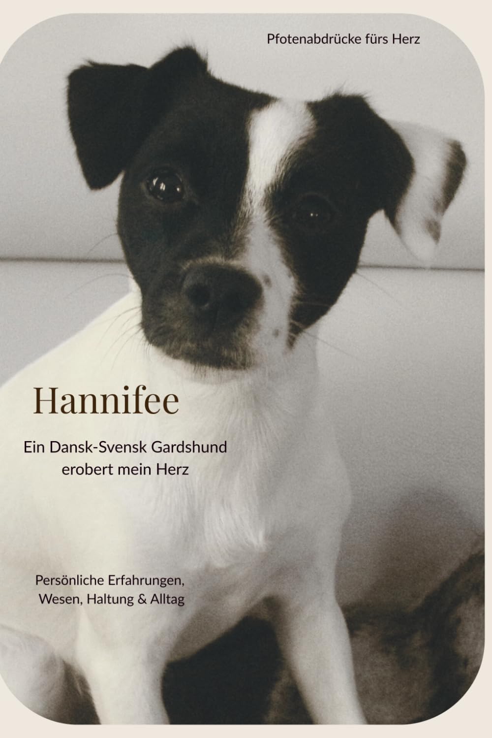 Hannifee: ein Dansky erobert mein Herz.