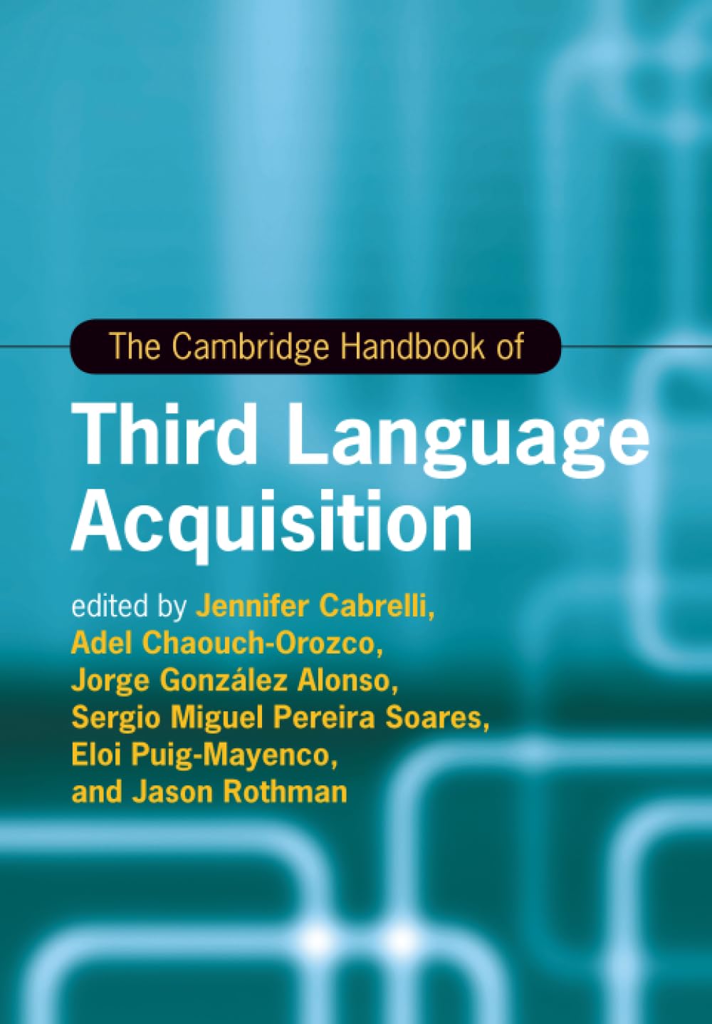 The Cambridge Handbook of Third Language Acquisition (Cambridge Handbooks in Language and Linguistics)