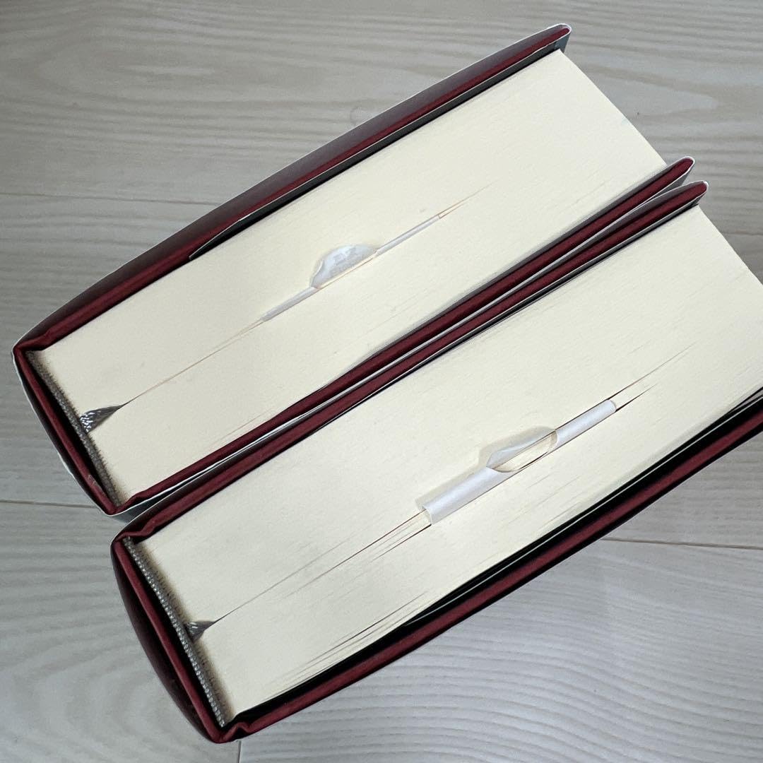 Amazon.co.jp: 重力の虹 上 下 2冊セット : おもちゃ