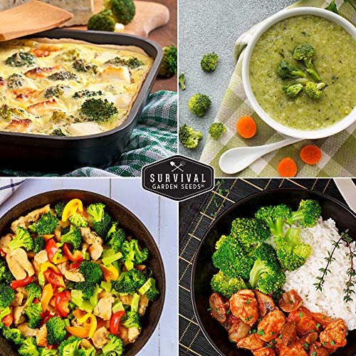 Waltham 29 Broccoli Seed For Planting - Packet With Instructions To Plant & Grow Cool Weather Broccoli In Your Home Vegetable Garden - Non-Gmo Heirloom Variety - Survival Garden Seeds - 1 Pack #TOP6