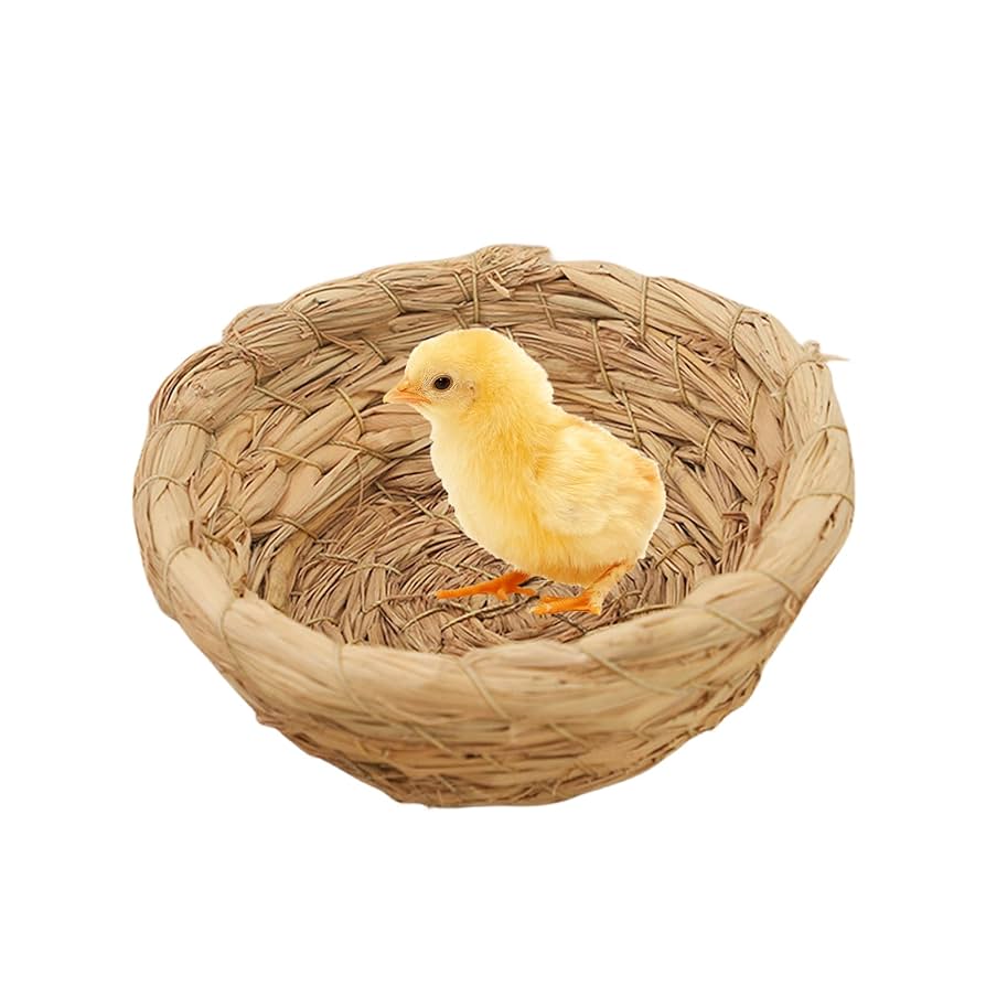 Amazon.co.jp: 繁殖用バードハウス、鳥の繁殖巣 - フラット