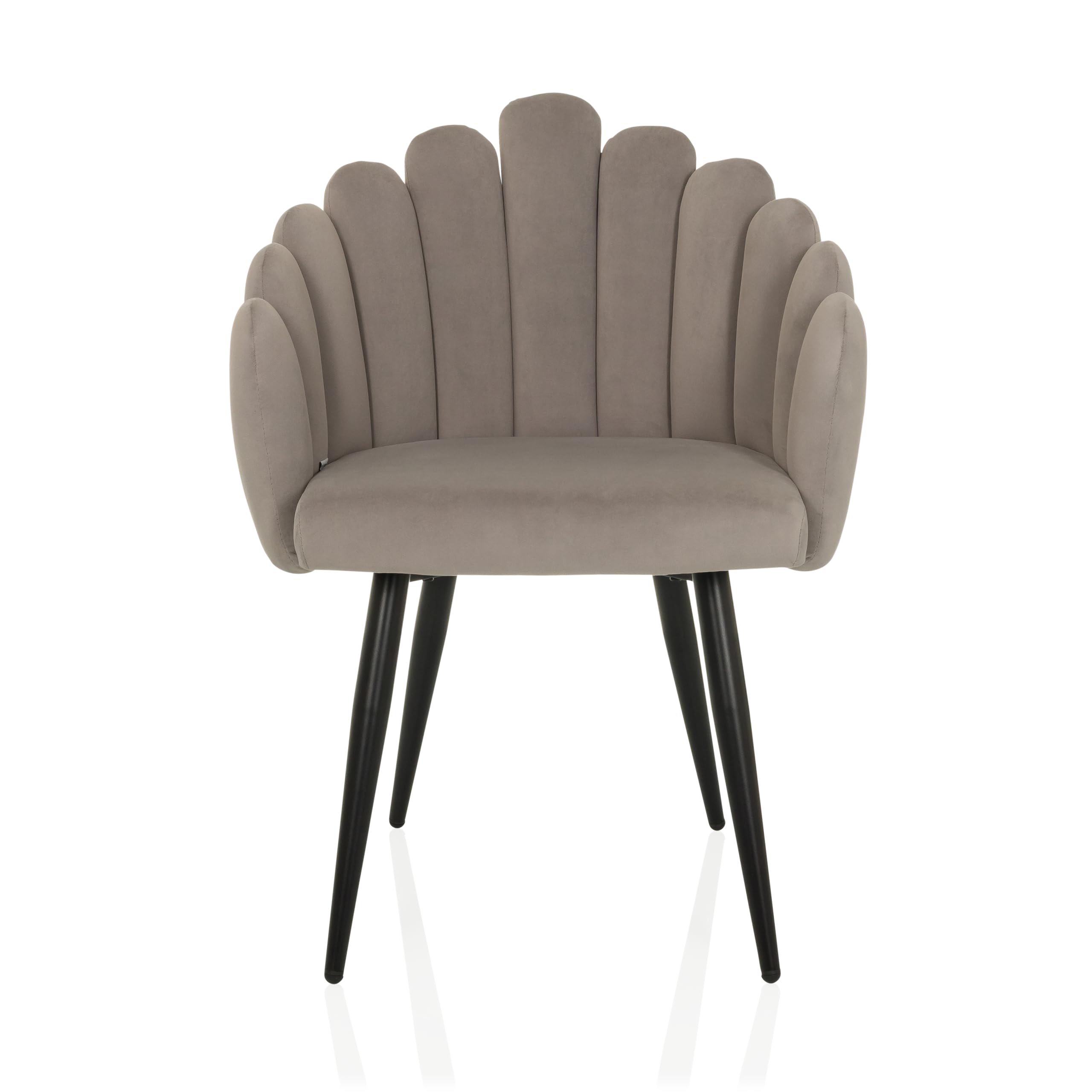 Silla tapizada con Respaldo en Forma de Concha de Terciopelo SCALLORE Silla de Comedor con Conchas tapizadas con Patas de Metal (Gris)