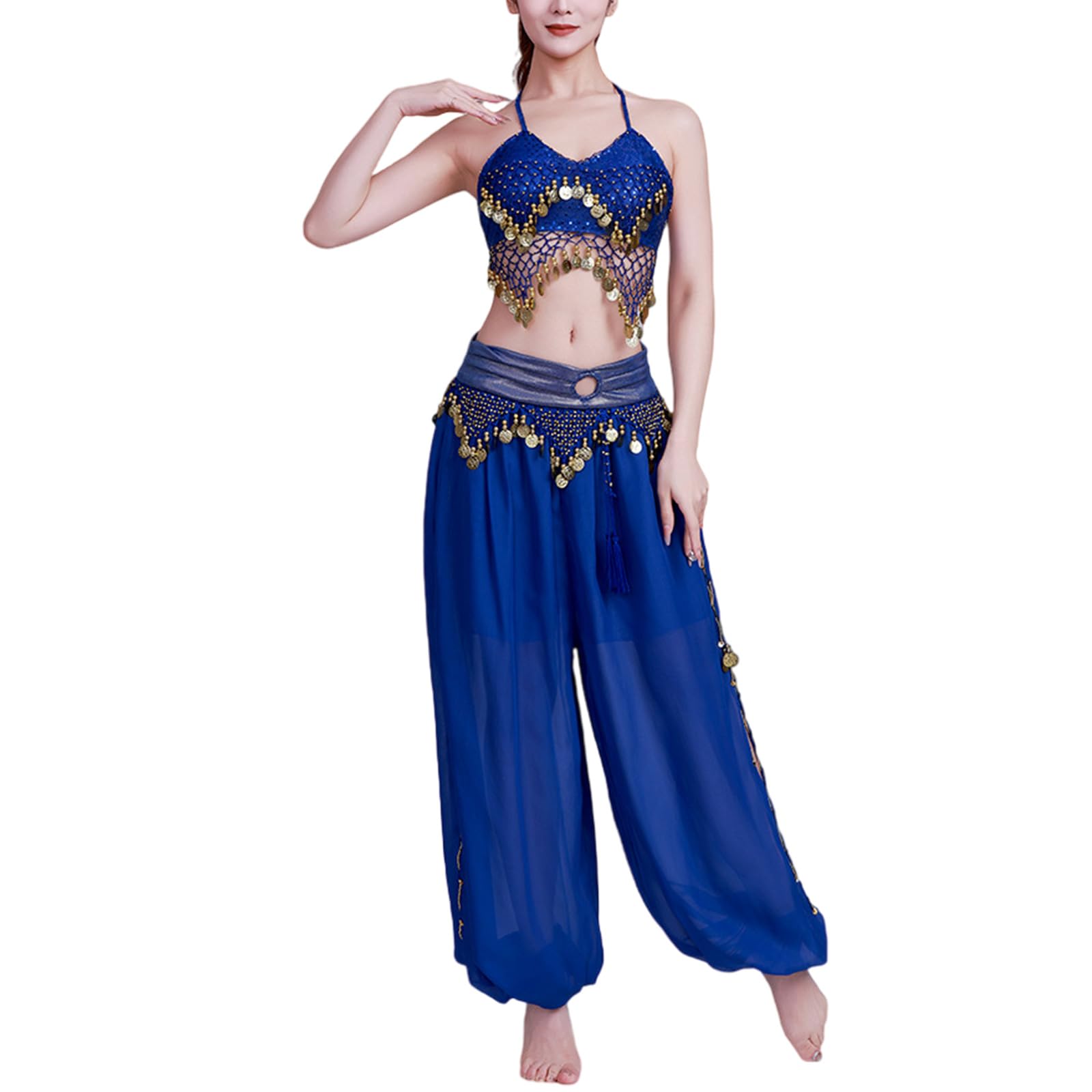 Set di 2 costumi da danza del ventre da donna, reggiseno a moneta, top harem, pantaloni, costumi da palcoscenico per Halloween, set di costumi