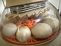 Review Image by Jackie Jackie