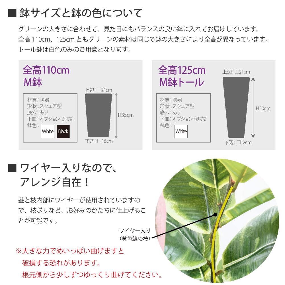 Amazon｜フェイクグリーン フィカス アルテシマ 115cm 白鉢（陶器製  