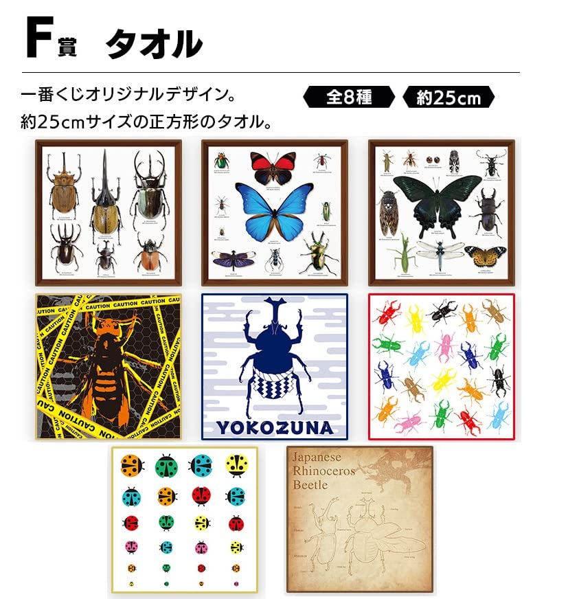 Amazon | 一番くじ昆虫 世界の昆虫だいしゅうごう！ セミコンプ25種