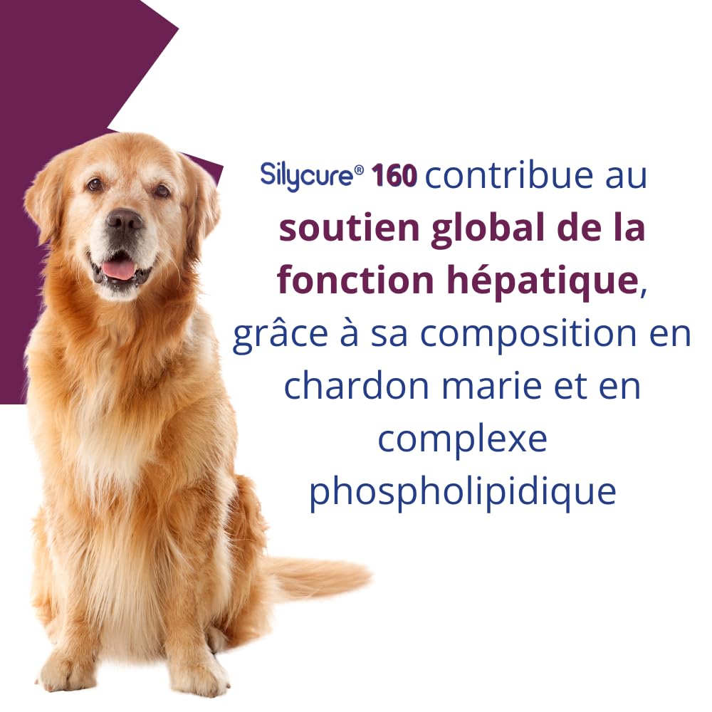 ANIDEV Silycure 160 - Aliment complémentaire Soutien Fonction hépatique Chien - Silybine Chardon Marie - Comprimés appétents quadrisécables - 75 comprimés