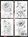 AMAZING FLOWERS – A Unique Coloring Book for Adults: Relax with 50 Beautiful Floral Designs and Patterns. Perfect as Gift for Adult, Women, Girls, ... Find Relaxation & Stress, Anxiety Relief