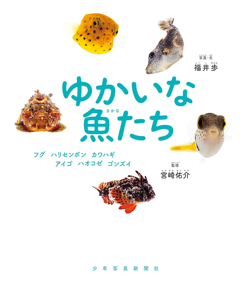 ヒグチユウコ　バベル　大きな魚は小さな魚を食う 12cm 角皿 6枚セット 大きな魚は小さな魚を食べる、1556