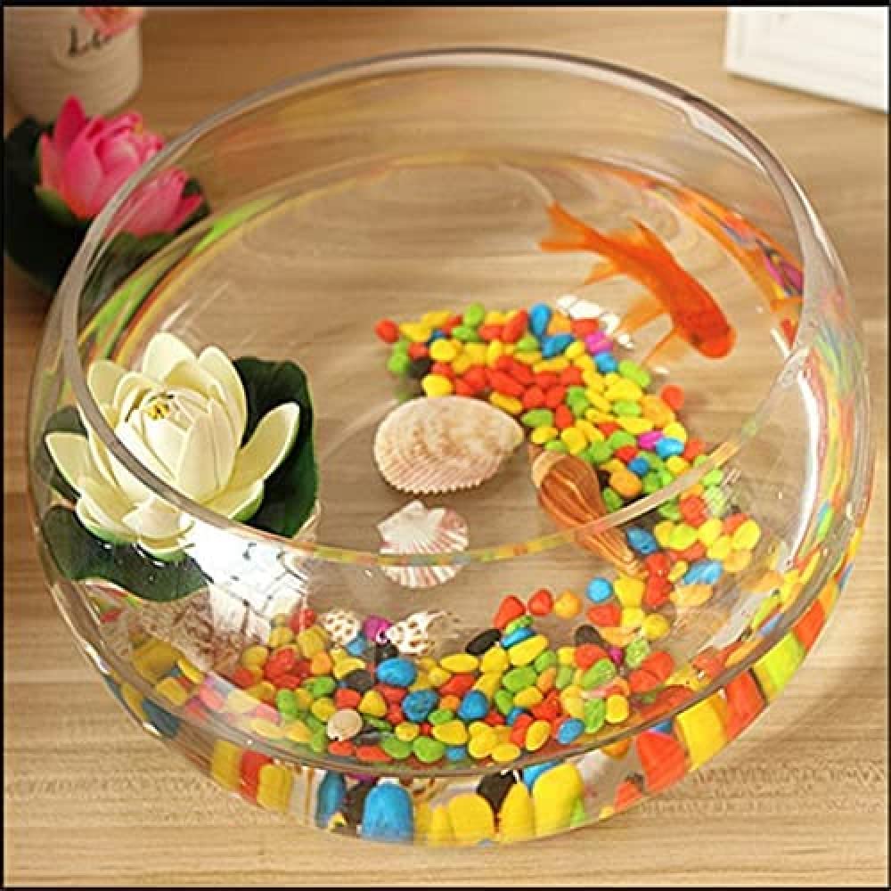 YXSH Acquario per Pesci Rossi Rotondo Trasparente Acquario per Pesci in Vetro Creativo Ecologico Grande Vaso per Acquario Idroponico Tartaruga