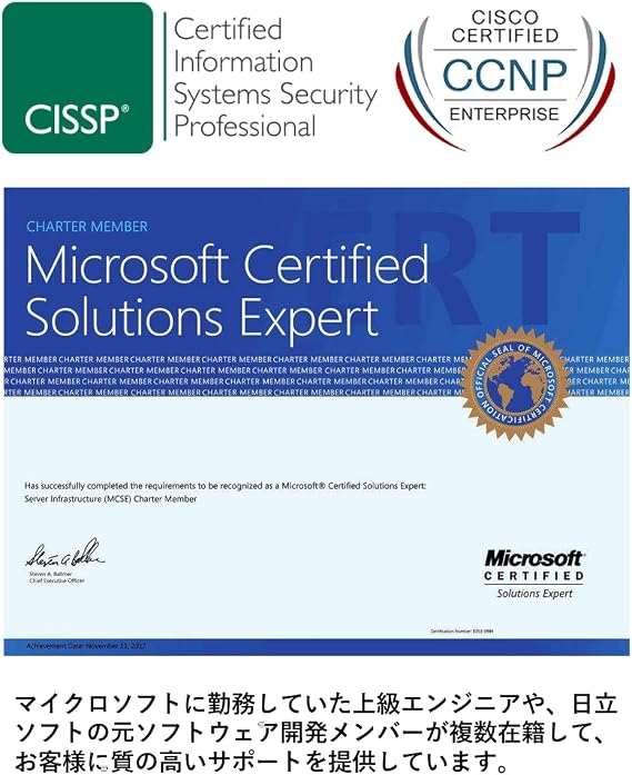 DSP license Japanese version for Windows 11 compatible PCs (Pro)