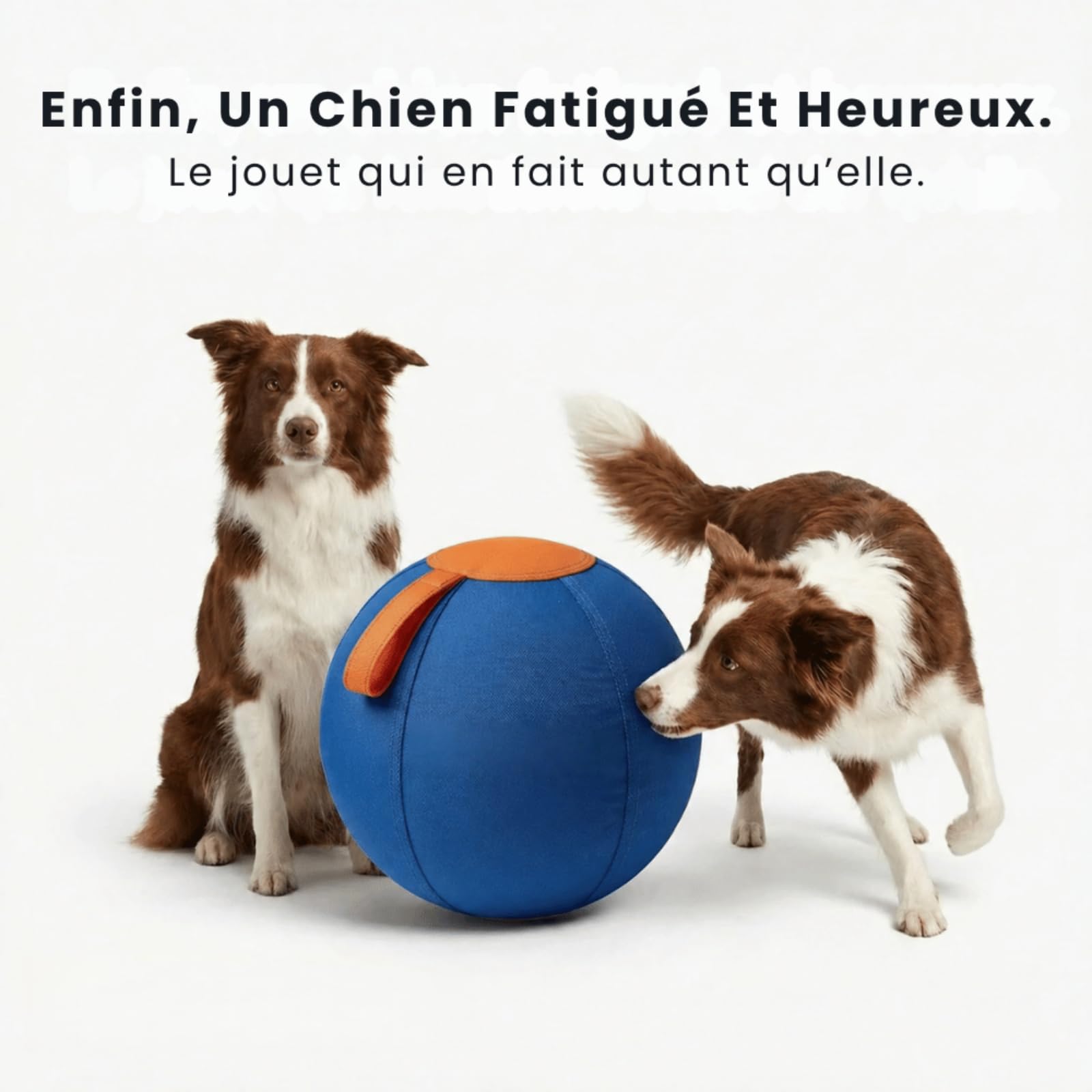 MEIION Woofy Chien Balle,Balle Interactive pour Chien,Jouet Interactif Résistant avec Bracelet Pratique,Ballon Chien Adapté Petits et Grands Chiens pour Intérieur et Extérieur