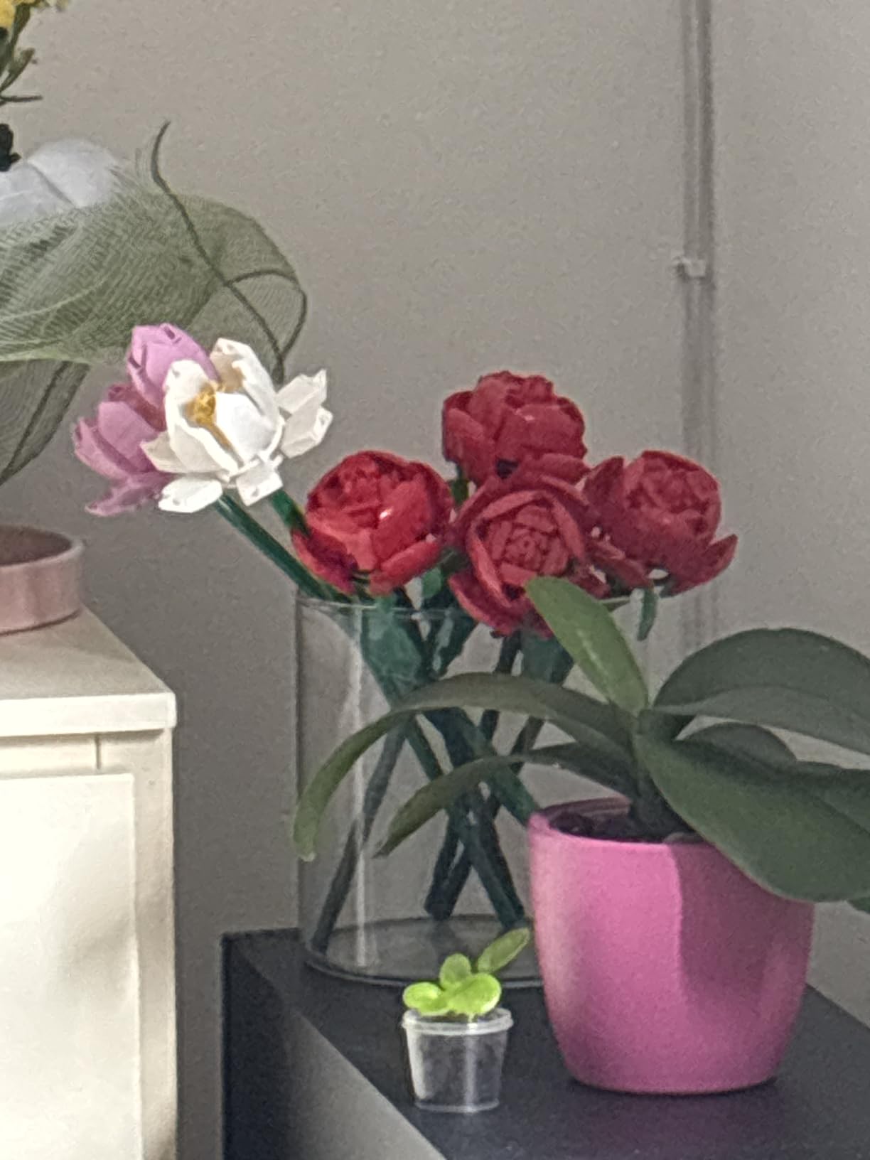 Immagine del cliente