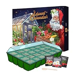 Seeds Advent Calendar 2025 for Garden Gifts